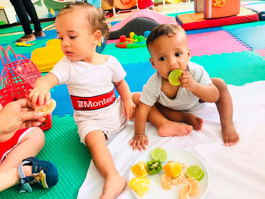 Colégio Montessori Estrutura