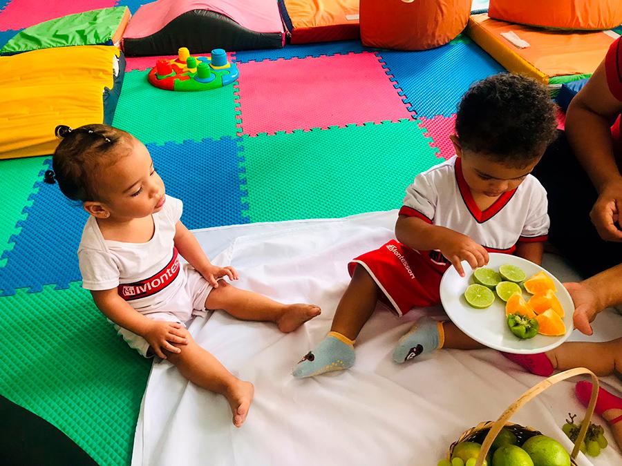 Colégio Montessori Estrutura