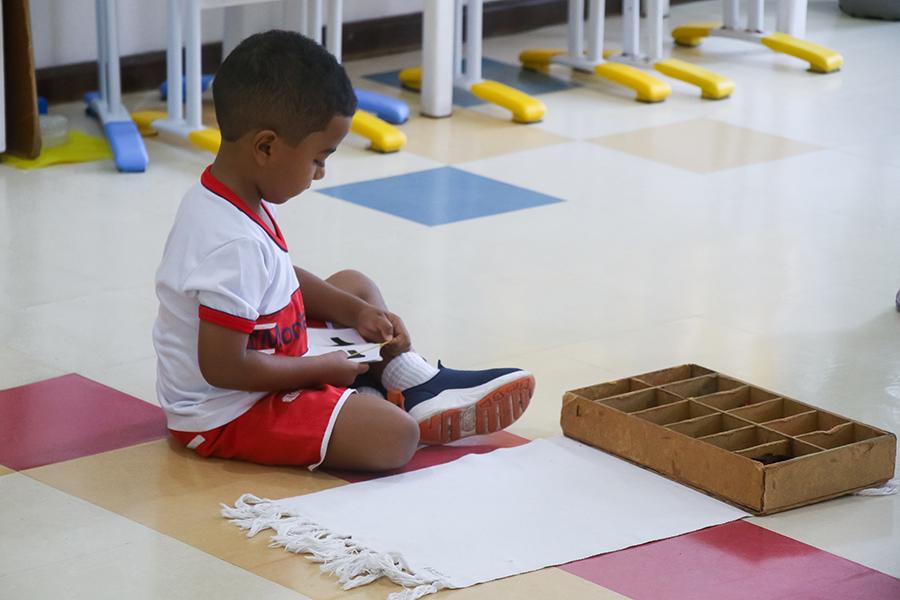 Colégio Montessori Estrutura